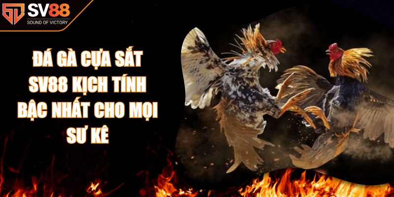 Đá Gà Cựa Sắt SV88 Kịch Tính Bậc Nhất Cho Mọi Sư Kê