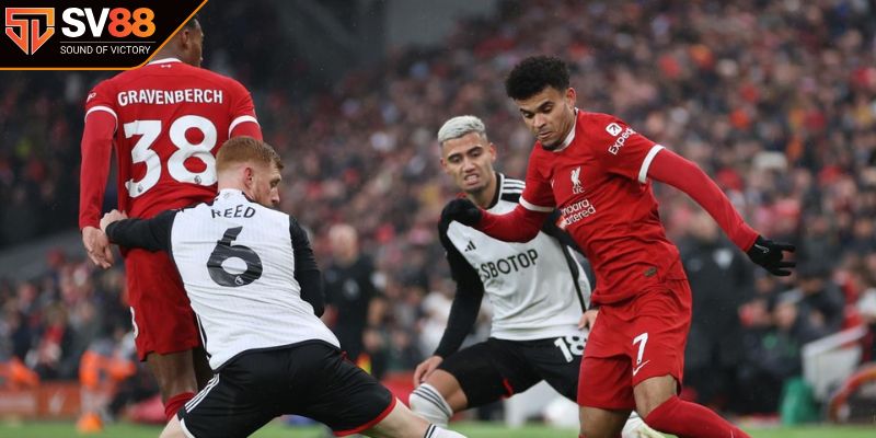 Lịch sử hai đội Liverpool vs Fulham