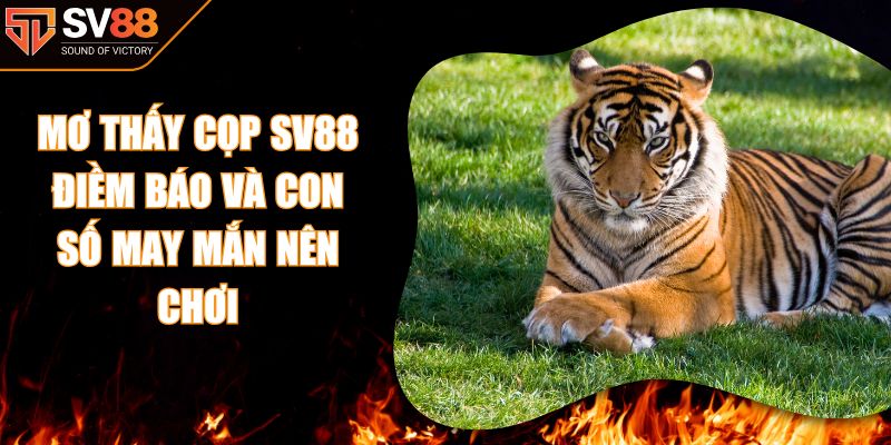 Mơ Thấy Cọp SV88 - Điềm Báo Và Con Số May Mắn Nên Chơi