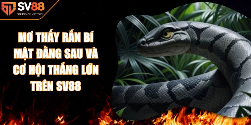 Mơ Thấy Rắn Bí Mật Đằng Sau Và Cơ Hội Thắng Lớn Trên SV88