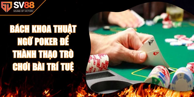 Bách Khoa Thuật Ngữ Poker Để Thành Thạo Trò Chơi Bài Trí Tuệ
